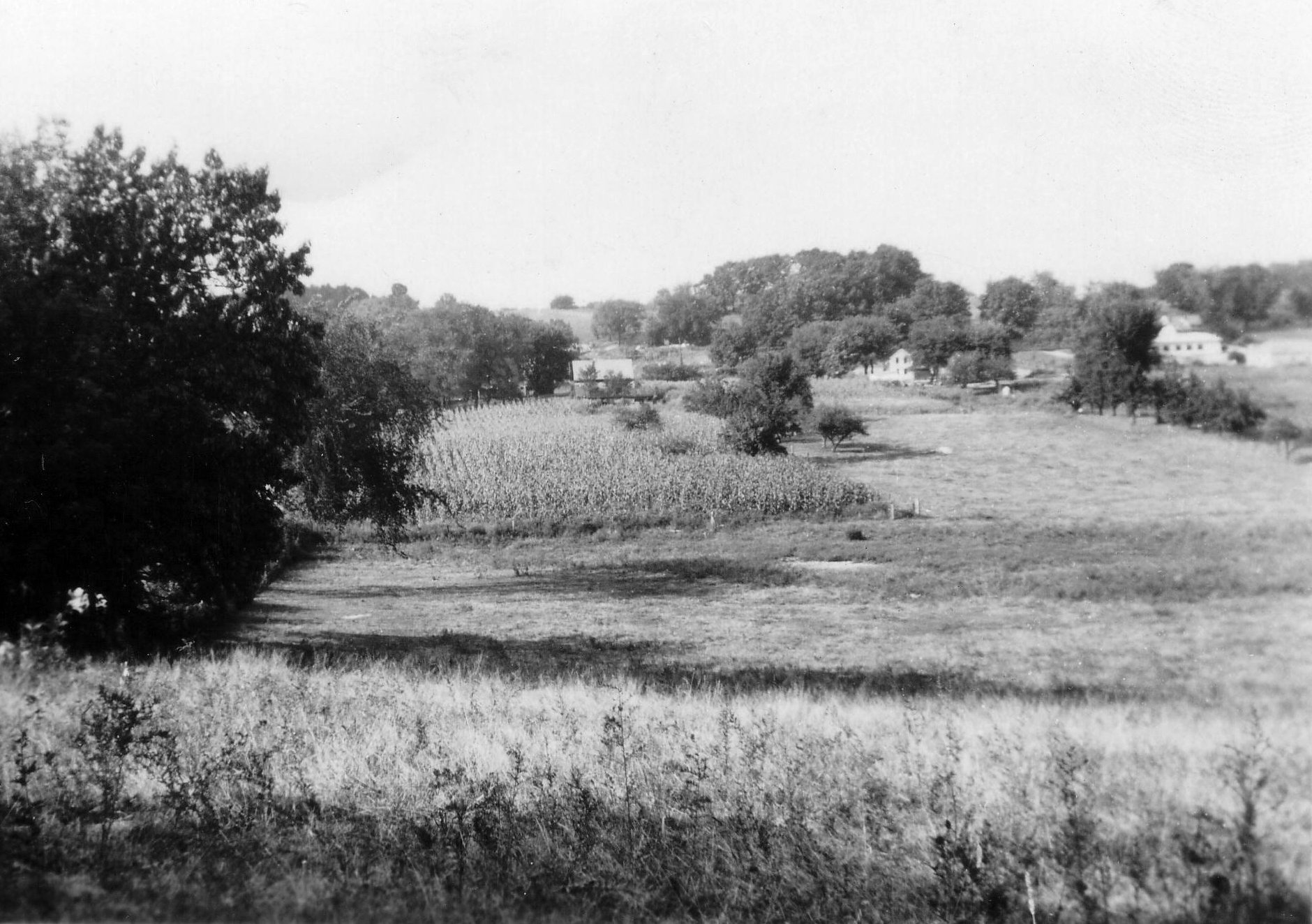 Photo of north view from hill top (circa 1952)