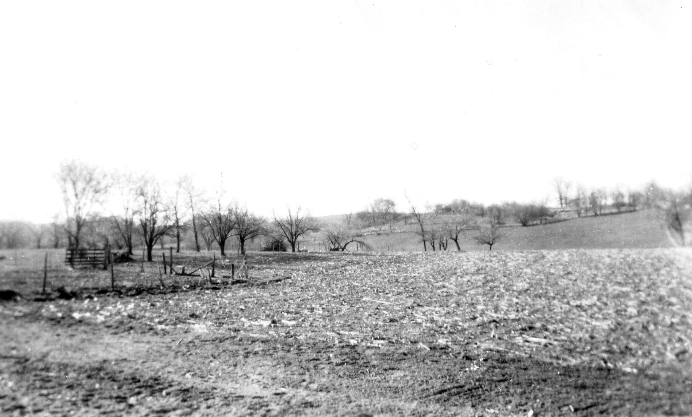 Photo of south view from 1006 (circa 1950)
